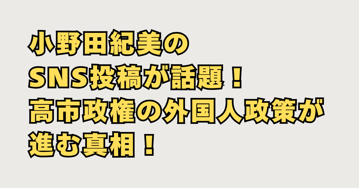 小野田紀美のSNS話題
