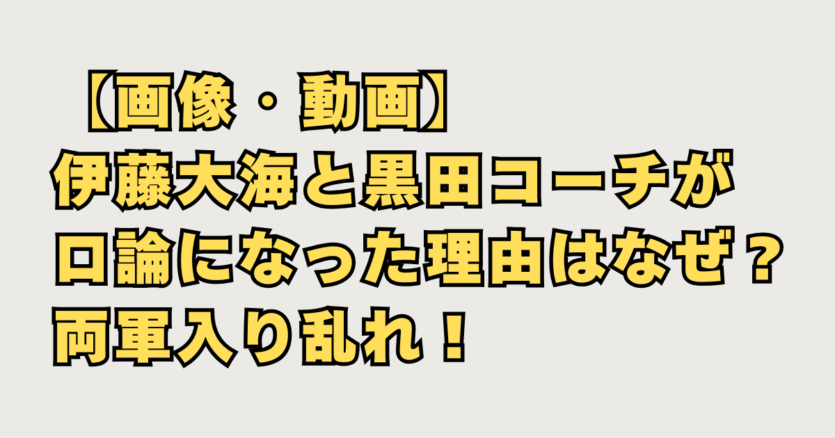 伊藤大海乱闘